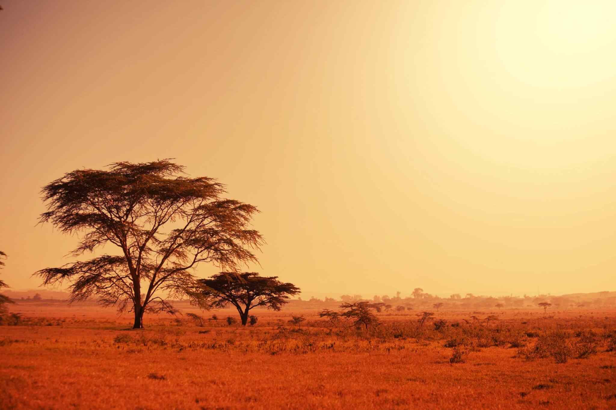 tour-africa-02 https://www.gloryjourneyinc.com/wp-content/uploads/2018/09/tour-africa-02.jpg